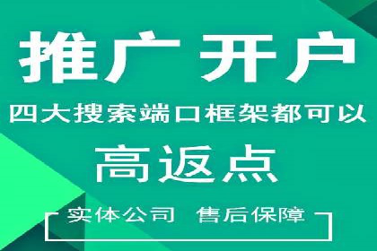 成功案例揭秘：百度竞价账户托管的运营之道